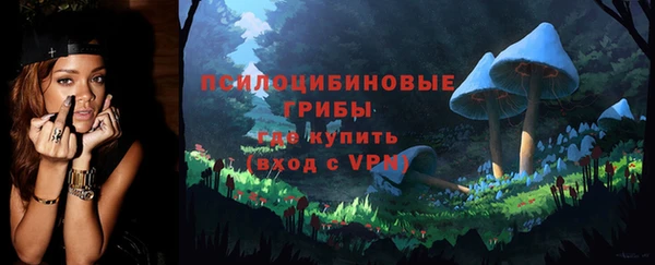 не бодяженный Осташков