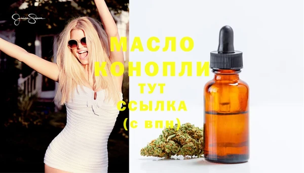 сатива Беслан