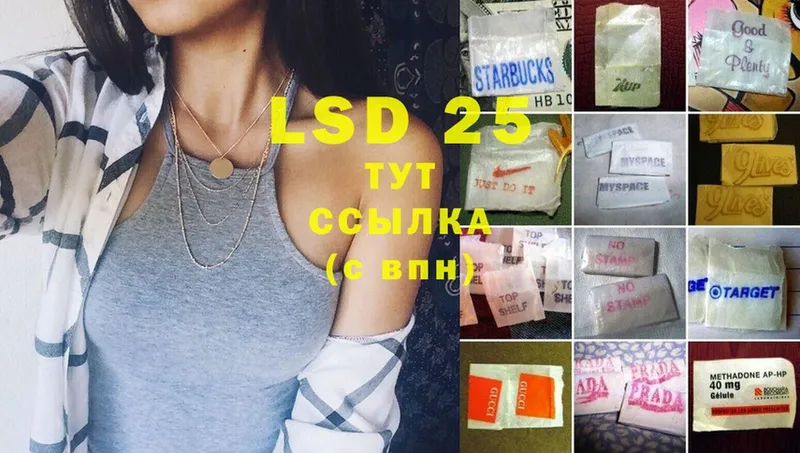 закладки  Калининск  Лсд 25 экстази ecstasy 