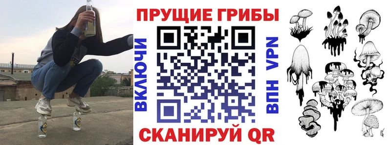 купить  сайты  hydra рабочий сайт  Псилоцибиновые грибы GOLDEN TEACHER  Калининск 